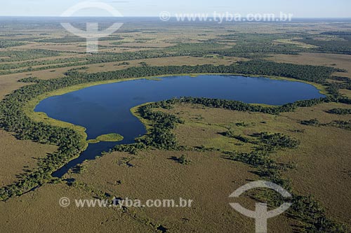  Subject: Aerial view of a lake surrounded by buritis (Mauritia flexuosa) in the Cerrado (brazilian savanna) region / Place: near Sao Felix do Araguaia city - Mato Grosso state - Brazil / Date: June 2006 