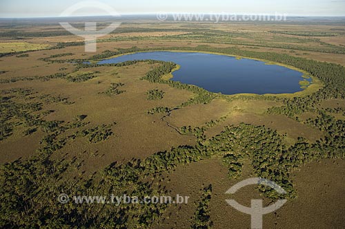  Subject: Aerial view of a lake surrounded by buritis (Mauritia flexuosa) in the Cerrado (brazilian savanna) region / Place: near Sao Felix do Araguaia city - Mato Grosso state - Brazil / Date: June 2006 
