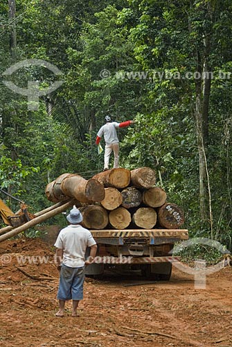  Subject: Load of wood - Chico Mendes Reserve / Place: Xapuri City - Acre State - Brazil 
