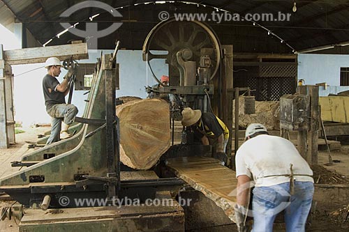  Subject: Timber industry - Sawmill / Place: Xapuri City - Acre State - Brazil / Date: July 2008 