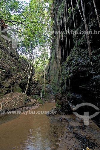  Subject: Suçuapara canyon / Place: Ponte Alta do Tocantins City - Tocantins State - Brazil / Date: February 2007 