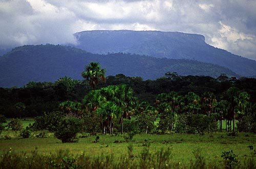 Subject: Serra do Tepequem (Tepequem Ridge) / Place: Amaraji city - Roraima state - Brazil / Date: March, 2009 