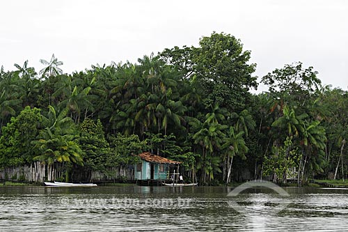  Subject: Typical riverside house with Açai Palms around it / Place: Acara city - Para state - Brazil / Date: April 2009 