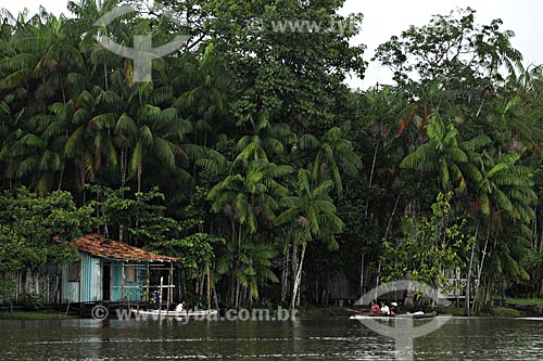  Subject: Typical riverside house with Açai Palms around it / Place: Acara city - Para state - Brazil / Date: April 2009 