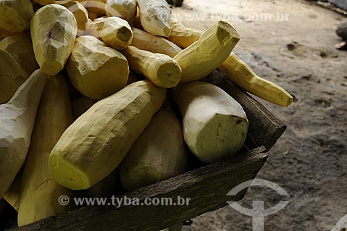  Subject: Peeled cassava (Manihot esculenta) for the production of flour / Place: Quilombola de Santa Maria do Traquateua territory - Moju city - Para state - Brazil 