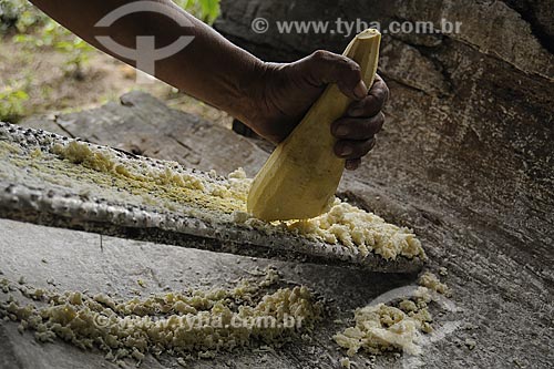  Subject: Cassava being grated manually to produce flour / Place: Quilombola de Santa Maria do Traquateua territory - Moju city - Para state - Brazil 