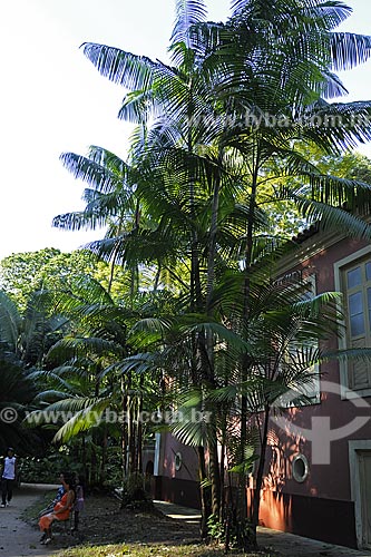  Subject: Paraense Museum and Emilio Goeldi Botanic Garden / Place: Belem city - Para state - Brazil / Date: May 2009 