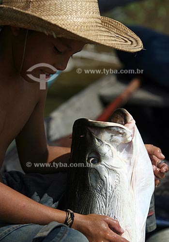  Subject: Pirarucu (Arapaima gigas) fishing at the Amazon River / Place: Amazonas state - Brazil / Date: 28 / 09 / 2009 