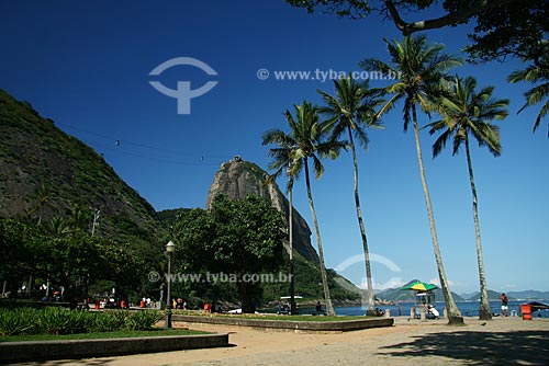  Subject: Sugar Loaf hill view from praia Vermelha (Vermelha beach)  / Place:  Urca neighborhood - Rio de Janeiro city - Rio de Janeiros state - Brazil  / Date: 03/11/2009 
