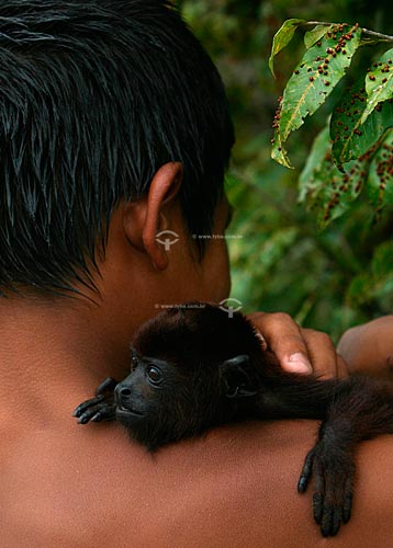  Subject: Little Howler monkey (Alouatta sp.)  / Place:  Amazonas state - Brazil  / Date:  