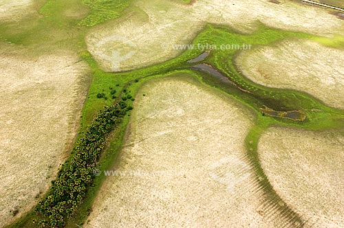  Subject: Aerial view of Lavrado (Savanna region of Roraima) of Roraima (Beginning of dry season)  / Place:  South of Boa Vista City - Roraima State - Brazil  / Date: Janeiro de 2006 