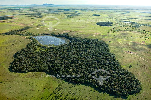  Subject: Aerial view of gallery forest along igarapes of Lavrado (Savanna region of Roraima)  / Place:  North of Boa Vista City - Roraima State - Brazil  / Date: Janeiro de 2006 