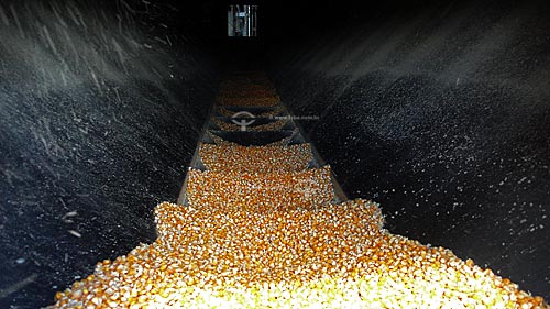  Subject: Silos for drying and storing corn grains - Juparana Agricola  / Place:  Paragominas - Para - Brasil  / Date: 30/03/2009 