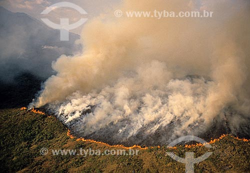  Subject: Fire in the Itatiaia National Park  / Place:  Itatiaia city - Rio de Janeiro state - Brazil  / Date:   
