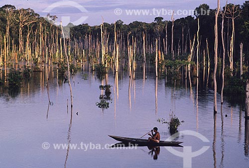  Subject: Lago do Limão / Place: Next to Manaus city - Amazonas state - Brazil 