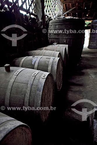  Subject: Barrels for the storage of cachaça (a distilled spirit made of sugarcane) in the aguardente factory, Fazenda Murycana (Murycana Farm)  / Place: Paraty city - Costa Verde (Green Coast) region - Rio de Janeiro state - Brazil / Date: Janeiro 2 