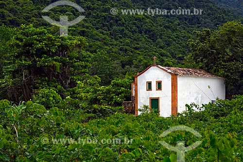  Subject: Nossa Senhora da Conceiçao church, surrounded by the coastal vegetation / Place: Paraty-Mirim city - Costa Verde (Green Coast) region - Rio de Janeiro state - Brazil / Date: Janeiro 2010 