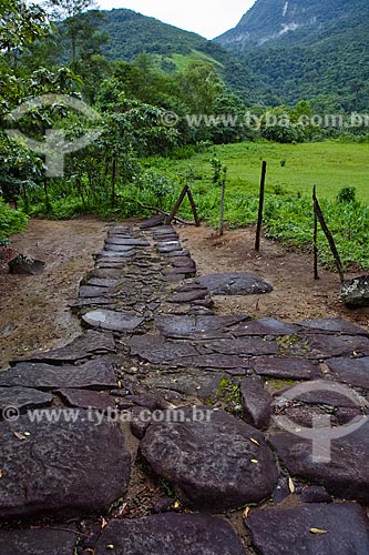  Subject: Caminho do Ouro (Gold Path), with the stone pavement known as 
