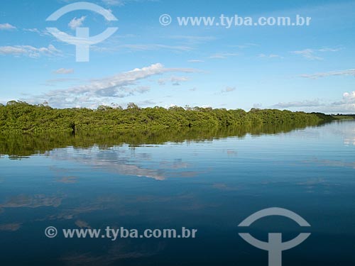  Subject: Mangroves of the Atlantic Forest / Place: Boipeba - Bahia - Brasil / Date: 01/07/2009 