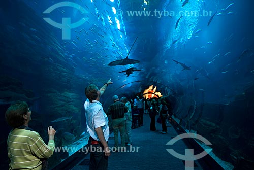  Saltwater aquarium in the Dubai Mall. Beyond Big windows, the aquarium got a tunnel from where the center of the aquarium can be seen   - Dubai city - United Arab Emirates