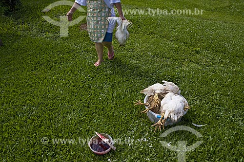 Subject: Woman killing chickens at her backyard  / Place:  Nova Friburgo city - Rio de Janeiro state - Brazil  / Date: 2007 