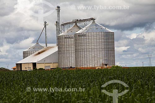  Subject: Corn Plantation and silos in BR-163 highway  / Place:  Mato Grosso state - Brazil  / Date: Abril de 2009 