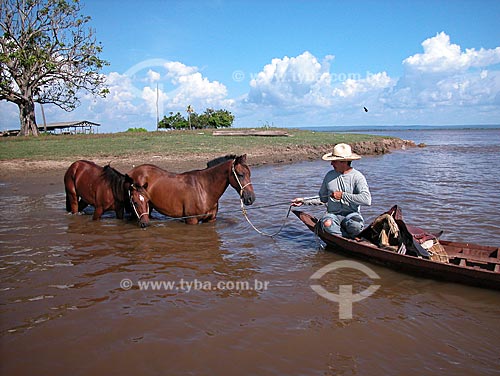  Subject: Man crossing a tributary of the Rio Amazonas (Amazonas river) with horses, at Cacual Grande, near Santarem city  / Place:  Para state - Brazil  / Date: 08/2003 