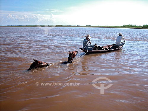  Subject: Men crossing a tributary of the Rio Amazonas (Amazonas river) with horses, at Cacual Grande, near Santarem city  / Place:  Para state - Brazil  / Date: 08/2003 