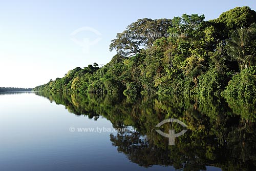  Subject: Igapo , a flooded section of the forest - Black River ( Rio Negro ) - Anavilhanas Ecological Station  / Place:  Place : Amazonas State - Brazil  / Date: Julho 2007 
