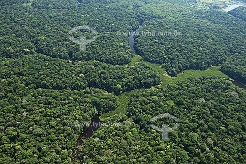  Subject: Dark water lakes, at the varzea (seasonally flooded plains) of the Madeirinha river  / Place:  Amazonas state - Brazil  / Date: 11/2007 