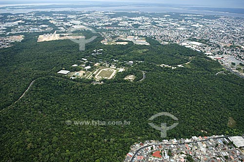  Subject: Amazon Forest of the UFAM (Federal University of Amazonas)  / Place:  Local: Manaus city - Amazonas state - Brazil  / Date: 11/2007 