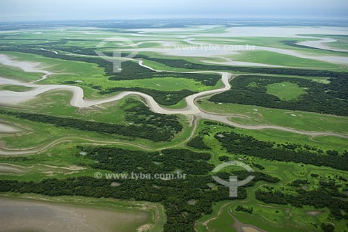  Subject: Careiro island varzea (seasonally flooded plains), in the Amazonas river  / Place:  Between Manaus and Itacoatiara cities - Amazonas state - Brazil  / Date: 11/2007 