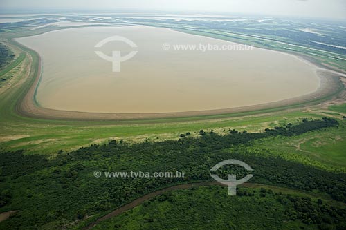  Subject: Varzea amazonica (seasonally flooded plains of the Amazon rainforest) in the south of Itacoatiara city and east of the meeting waters of the Madeira and Amazonas rivers  / Place:  Amazonas state - Brazil  / Date: 11/2007 