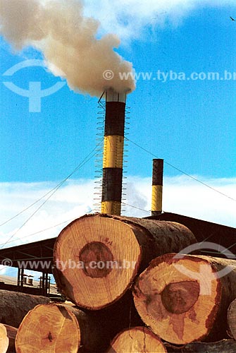  Subject: Deforestation. Lumber mill in the Northern Region / Place: Itacoatiara city - Amazonas state - Brazil  / Date: 06/1995 