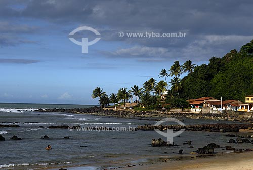  Subject: View of the beach of Baia Formosa ( Formosa bay )  / Place:  Rio Grande do Norte state - Brazil  / Date: 06/2009 
