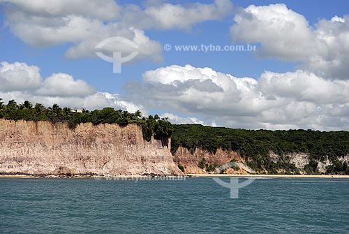  Subject: View of the cliffs at the Praia das Cacimbinhas (Cacimbinhas beach)  / Place:  Tibau do Sul city - Rio Grande do Norte state - Brazil  / Date: 06/2009 
