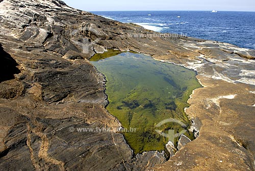  Subject: Saltwater puddle on the stones of the Ilha Rasa (Rasa island)  / Place:  Rio de Janeiro state - Brazil  / Date: 09/2009 