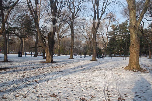  Subject: Central Park during the winter  / Place:  New York city - United States of America  / Date: 10/2008 