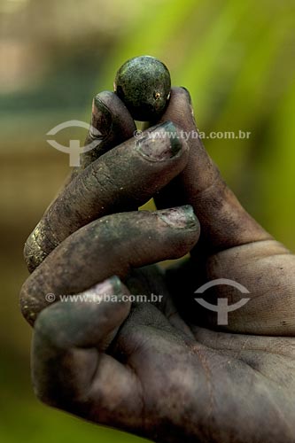  Subject: Detail of hands holding acai  / Place: Abaetetuba village - Para state - Brazil / Date: 01/11/2009 