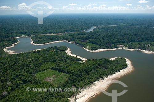  Subject: Amazon rainforest in the banks of dark water rivers, at the south of Nova Olinda do Norte city  / Place:  Amazonas state - Brazil  / Date: 011/2007 