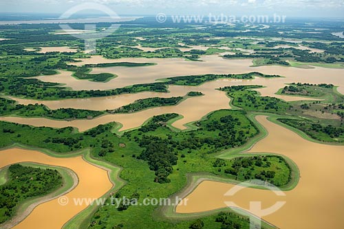  Subject: Amazon floodplains of the right bank of the Amazonas River, between Manaus and Itacoatiara cities  / Place:  Amazonas state - Brazil  / Date: 11/2007 