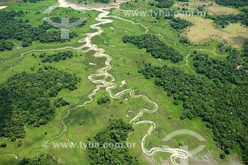  Subject: Amazon floodplains of the right bank of the Amazonas River, between Manaus and Itacoatiara cities  / Place:  Amazonas state - Brazil  / Date: 11/2007 