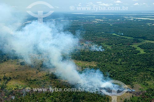  Subject: Fire on the floodplains of the right bank of the Amazonas River, between Manaus and Itacoatiara cities  / Place:  Amazonas state - Brazil  / Date: 11/2007 