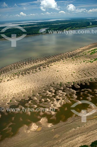  Subject: Bank of Madeira river, at the southeast of Nova Olinda do Norte city  / Place:  Amazonas state - Brazil  / Date: 11/2007 