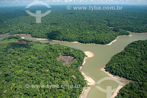  Subject: Amazon Rainforest at the south side of Nova Olinda do Norte city  / Place:  Amazonas state - Brazil  / Date: 11/2007 