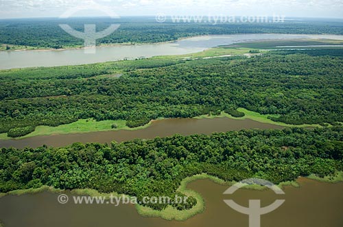  Subject: Island in the Madeira River, showing the sedimentation floodplains, at the east of Autazes city  / Place:  Amazonas state - Brazil  / Date: 11/2007 