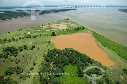  Subject: Amazon floodplains of the right bank of the Amazonas River, between the cities of Manaus and Itacoatiara  / Place:  Amazonas (AM) - Brazil  / Date: 11/2007 