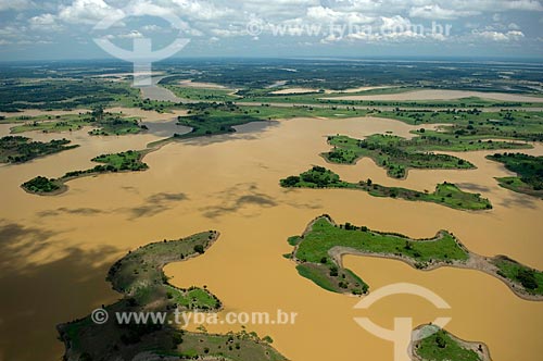  Subject: Amazon floodplains of the right bank of the Amazonas River, between Manaus and Itacoatiara cities  / Place:  Amazonas state - Brazil  / Date: 11/2007 