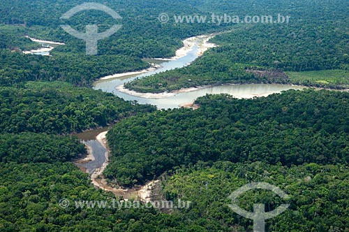  Subject: Amazon rainforest in the banks of black water rivers, at the south of Nova Olinda do Norte city  / Place:  Amazonas state - Brazil  / Date: 11/2007 