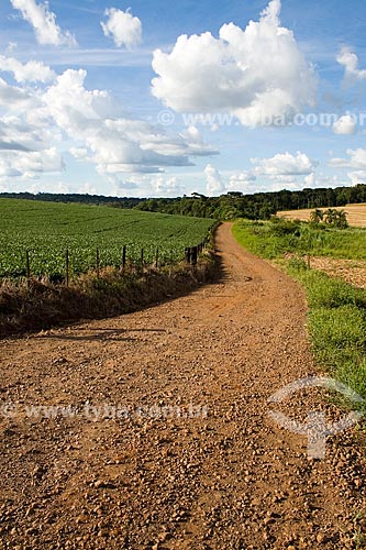  Subject: Dirt road in a rural landscape / Place: Guatambu - Santa Catarina state - Brazil / Date: 02/2010 